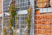 Hydra Utrecht | DC met het grootste permanente insectenhotel van Europa