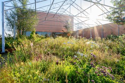 Daktuin Virgo Aalsmeer