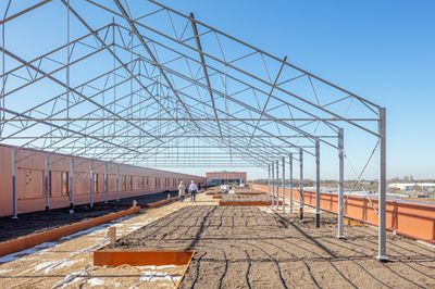 Daktuin Virgo Aaslmeer voor beplanting