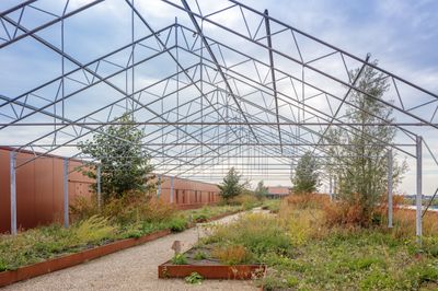 Daktuin Virgo Aaslmeer na beplanting