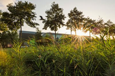 Nieuwbouw stadsdistributie voor regio Amsterdam door Heembouw