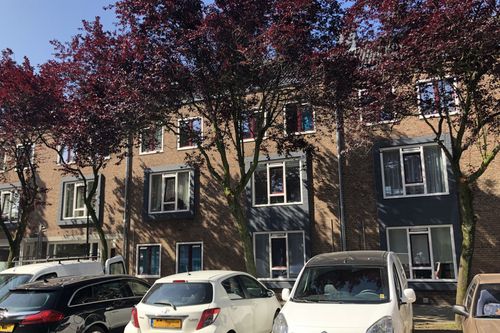 Verduurzamen 30 woningen en 3 winkels IJsselstein