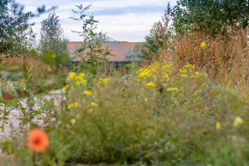 Natuurinclusief ontwerpen en bouwen | Dé transitieopgave van nu |