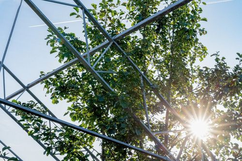 Natuurinclusieve daktuin van Virgo Aalsmeer - Ontwerp en realisatie door Heembouw