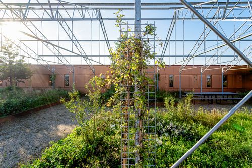 Virgo Aalsmeer