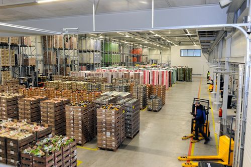 Nieuwbouw Hoofdkantoor en bedrijfspand Staay Food Group Papendrecht