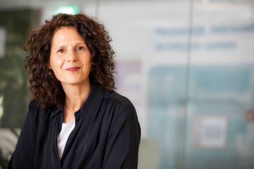 Daphne Braal-Verhoog, Voorzitter Raad van Bestuur Vidomes
