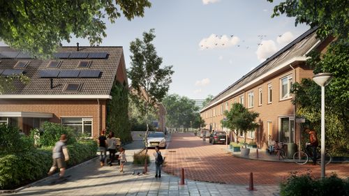 Optimaal ontwerp voor groengevels
