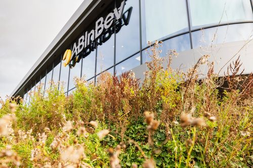 Umwelt| Nachhaltiges Planen und Bauen